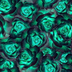 Seamless pattern of opened roses.