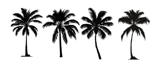 set of black silhouettes of a palm tree, silhouette of a palm tree isolated	