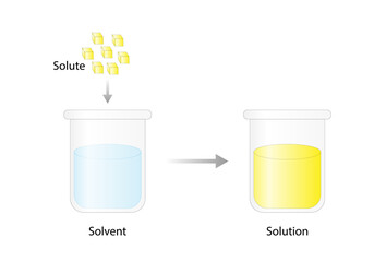 Solutions. Solubility homogeneous mixture. Solute, solvent and solution. Dissolving solids. Chemistry. Educational diagram. Conical flask, isolated on white background. Vector illustration.