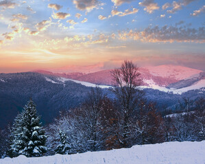 Winter sunset mountain landscape with snowy forest (Carpathian, Ukraine)