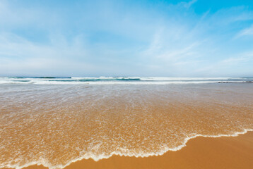 Summer sandy beach with surf wave (Algarve, Costa Vicentina, Portugal).