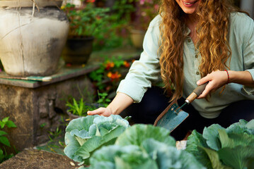 Young woman gardener holding gardening trowel in straw hat taking care of green potted plants...