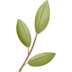 Obraz premium branch with leaves
