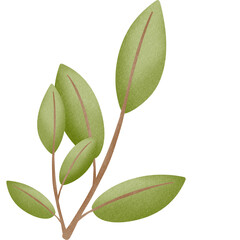 Obraz premium branch with leaves