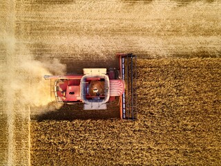 Aerial drone photo of red harvester working in wheat field on sunset. Top view of combine harvesting machine driver cutting crop in farmland. Organic farming. Agriculture theme, harvesting season.