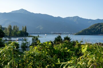 Shrine sitting on an island in the middle of a lake in Japan