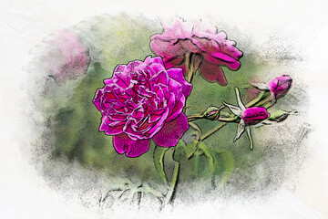 Malowane kwiaty - fiolet