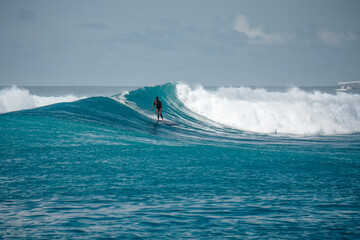 Surfer girl on long board on perfect blue aquamarine wave, empty line up, perfect for surfing, clean water, Indian Ocean, Maldives 