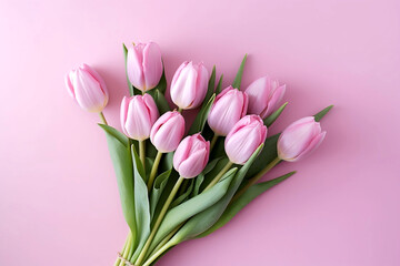 pink tulips on a table