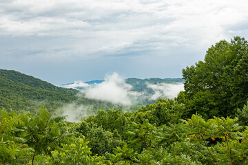 Fototapeta premium landscape in the Great Smoky Mountains National Park