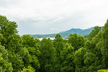 landscape in the Great Smoky Mountains National Park
