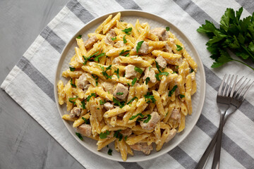 Homemade One-Pot Chicken Alfredo Pasta with Parsley on a Plate, top view. Flat lay, overhead, from above.