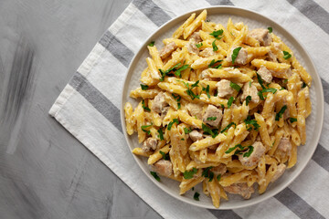 Homemade One-Pot Chicken Alfredo Pasta with Parsley on a Plate, top view. Flat lay, overhead, from above.
