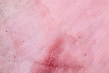 Delicious fresh ham cut into round slices with salt, spices and herbs