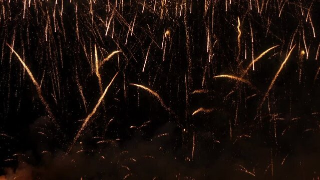 Fireworks against a black background