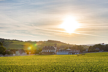 Reportage en montgolfière au-dessus de Pommard. Hot-air ballooning over Pommard.