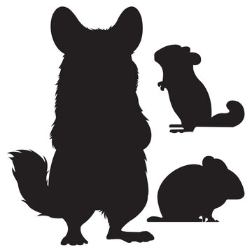 Vector Silhouette collection of Chinchilla animal