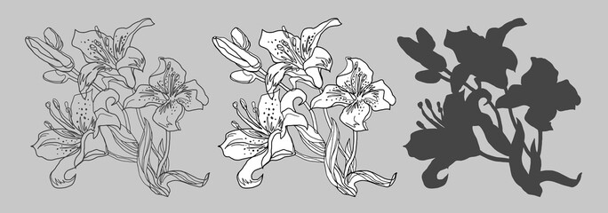Fototapeta premium Monochrome set of isolated floral elements of Lily flowers. Black and white freehand vector fast sketch drawn by hand for greeting card, invitation of wedding, birthday, Valentines Day, mothers day.