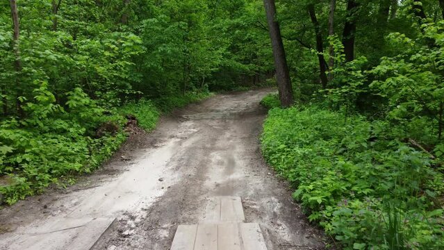 Dirt road and old bridge in the forest. Trees and bushes on the sides of the road strive to capture it.