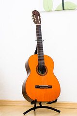 Brazilian guitar for bossa nova music style, supported on stand, displayed indoors