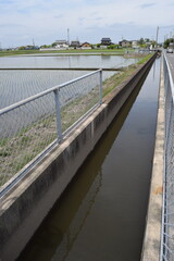 Fototapeta premium 農業用水路兼排水路 茨城県南部