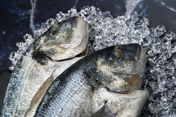 Closeup whole fresh raw fish chilling on the bed of cold chopped ice