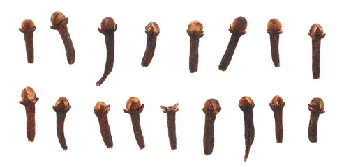 Set dry cloves isolated on white background, top view