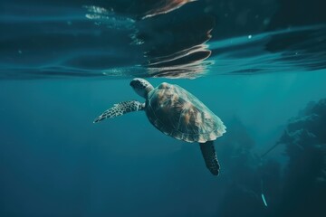Obraz premium sea turtle swimming in the ocean. Generative AI