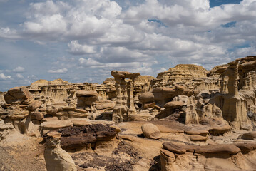 Bisti Badlands/Valley of Dreams, New Mexico