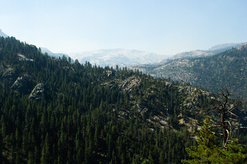 Stanislaus National Forest