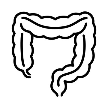 recommend clip art: Colon intestine line icon