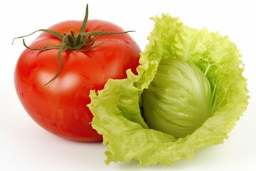 fresh tomato and lettuce on a white background