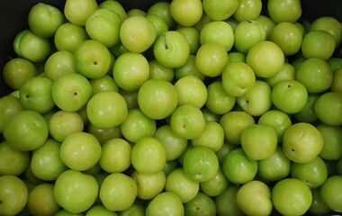 Viele grüne Pflaumen als Nahaufnahme und Vollbild