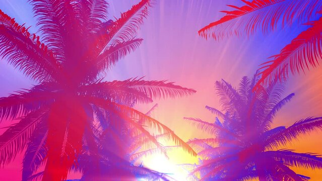 Summer background colorful palm tree with fly through camera on palm and sunset in summer theme