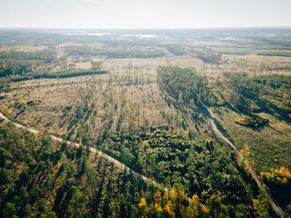 Lasy i jeziora, widoki z drona