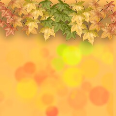 Colorful maple wallpaper, illustration background,jpeg.