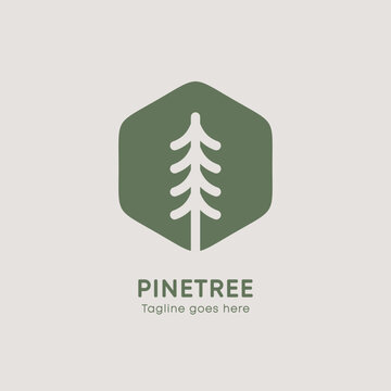 Abstract Pine Tree Logo