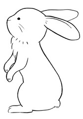 Rabbit standing line drawing PNG