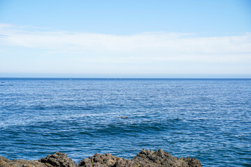 Part of a gray whale can be seen from the Oregon coast of the Pacific Ocean, USA. © Kathy