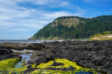 Tide pools at Cape Perpetua in Oregon, USA. Thor's Well Location.