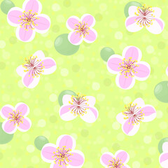 フェイジョアの花