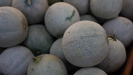 melons on display in supermarkets for sale
