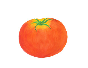 トマトの手描きイラスト素材

