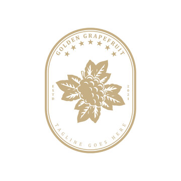 Vintage retro golden grapevine logo design badge vector illustration