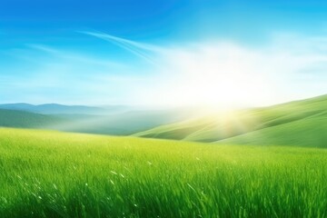 Fototapeta na wymiar Beautiful Green Field with a Blue Sky Background