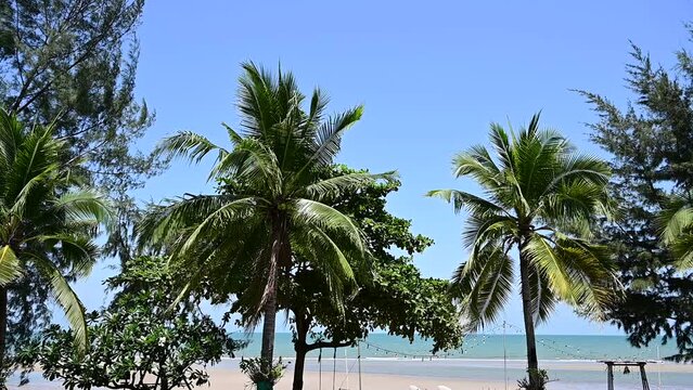 view of tropical beach through coconut tree on sunny day, palm trees fluttering slow motion scene
