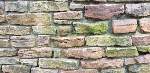 Raw Photos, Flowers, Junk Yard; Forest, Jungle, Buildings, Hunted, Power Tower, Autumn, Leaf, Red Rose, City, Sun Set, pop art, Vegan food