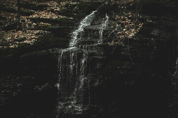 waterfall in the forest