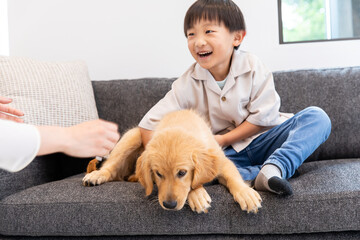 仔犬と戯れる子ども　child playing with puppy	