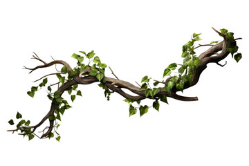 realistic twisted jungle branch with plant growing isolated on a white background - Powered by Adobe